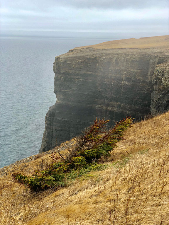 bell-island-15-img_9141